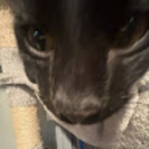 Meet your Posher, Sonja